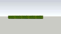LONG SHRUB