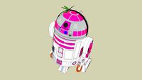 D2-R2 for girls