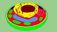 Aggie's Plant Cell
