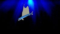 lancelt fish