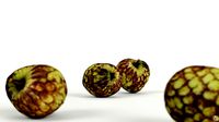Custard Apple Cherimoya