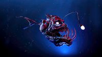 Angler Fish Low Poly