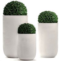 Ornamental bushes in flowerpots for parks and garden 499