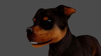 MPIT-009 Animated Dog