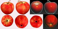 apple rad