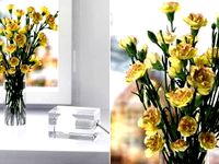 Carnations and Block Lamp