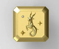 Capricorn Pendant | 3D