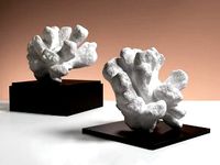 White Reef Coral Sculpture