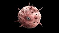 Coronavirus Scary Covid-19 Covid19 Personage