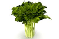 Celery Bunch