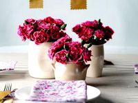 Pink Carnations in Ceramic Vases