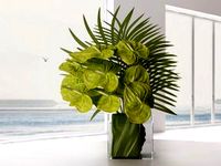 Green Anthuriums & Palm Leaves