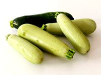 Zucchini