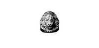 lion ring silver evil