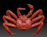 king crab alaska | 3D