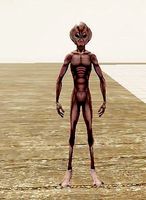 asgurd