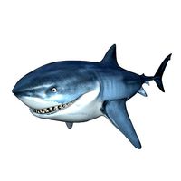 Bruce The Shark