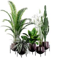 Plants collection 001