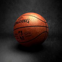 Spalding Official NBA Ball 2 3D models