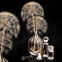 Decor set 12 Heracleum plant