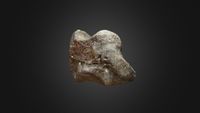 Woolly Rhino Wristbone