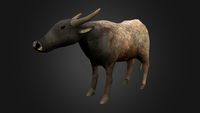 Water buffalo