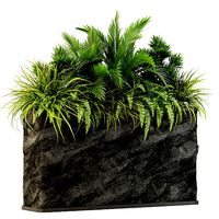 Plants collection 431