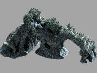 Topography-Seabed-Coral 36