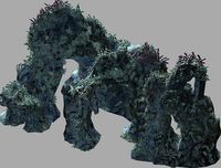 Topography-Seabed-Coral 32