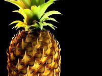 Pineapple Detailed Model