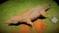 Uberabasuchus terrificus