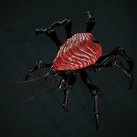 Bug 02
