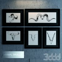 Черепа_животных