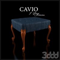 Cavio