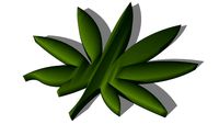maconha (hemp)