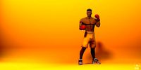 Stylized Boxer