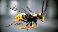 Wasp rigged PBR