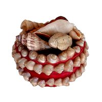 Box with seashells