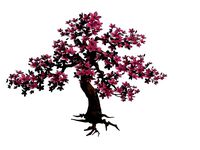 Peach tree 61