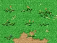 Cartoon Sky City - Xianjie Wildflowers 02