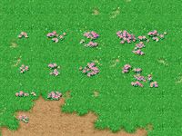 Cartoon Sky City - Xianjie Wildflowers 01