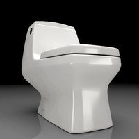 Toilet Seat Water Closet WC Palermo dual toilet