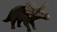 triceratops