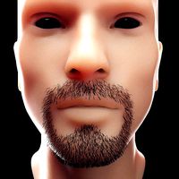 Stubble Low Poly 6