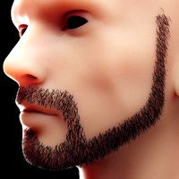 Stubble Low Poly 5