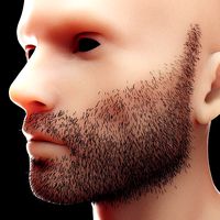 Stubble Low Poly 4