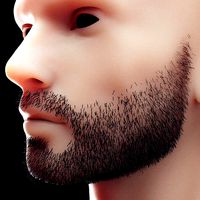 Stubble Low Poly 3