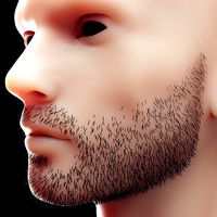 Stubble Low Poly 1