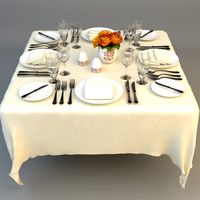 Dining Table Place Settings3d model