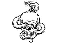 Skull Snake stencil 2 by Longquang